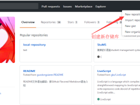 github创建个人j9九游会真人游戏第一品牌主页